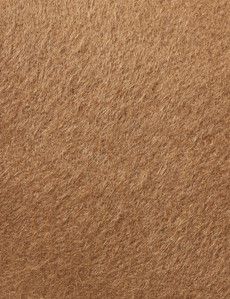 Camel 1913 Baker Boy Hat