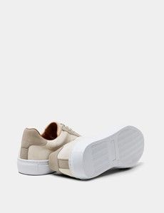 Ivory Court Trainer