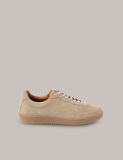 Cappuccino Suede Sneakers