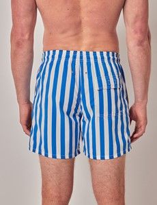 Blue & White Wide Stripe Swim Shorts-preview4