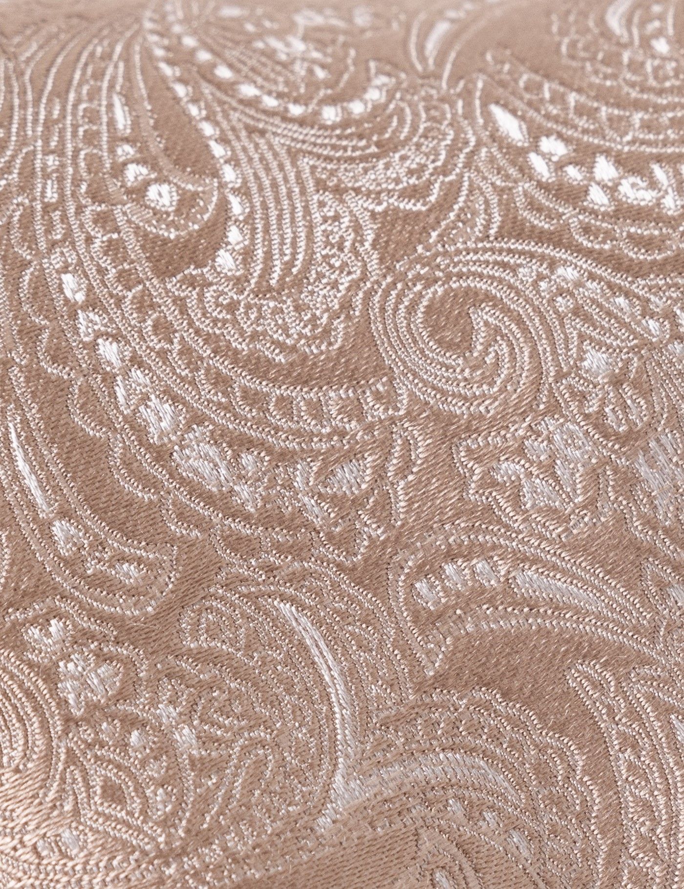 Champagne Paisley Tie - 100% Silk-preview
