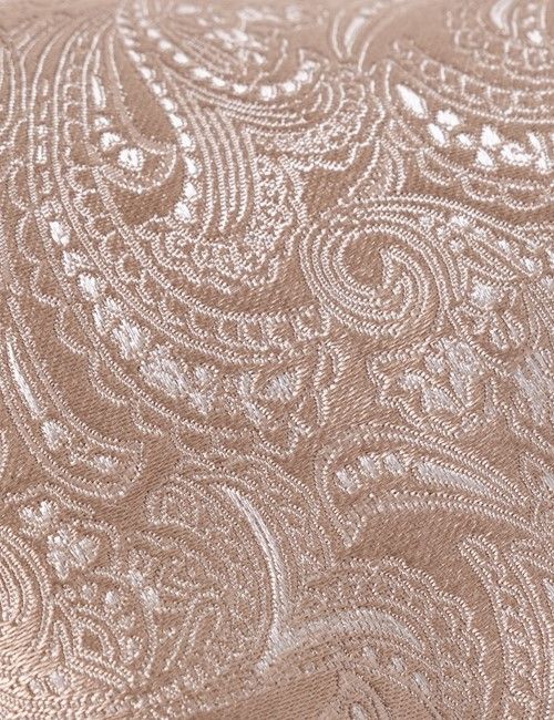 Champagne Paisley Tie - 100% Silk-preview